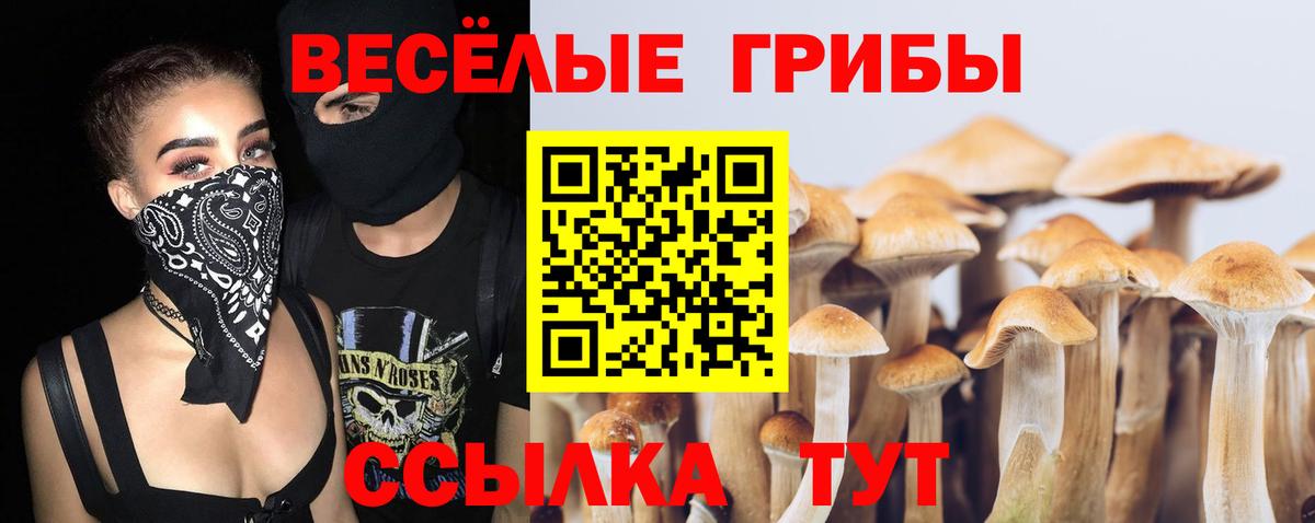 Галлюциногенные грибы ЛСД  Псилоцибиновые грибы мухоморы  Вход с VPN  Кудрово 